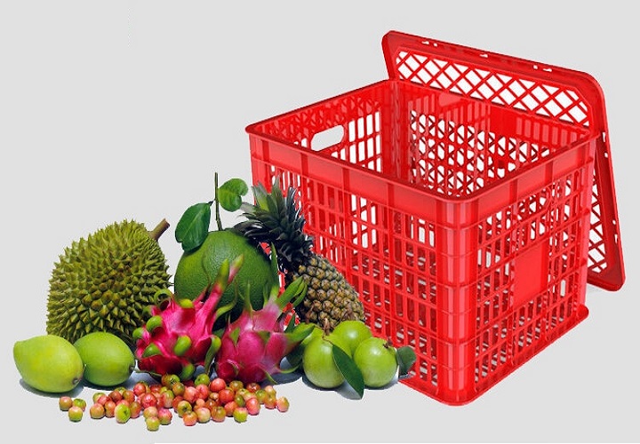 Sóng nhựa đựng trái cây của Nhựa Duy Tân có tốt không?